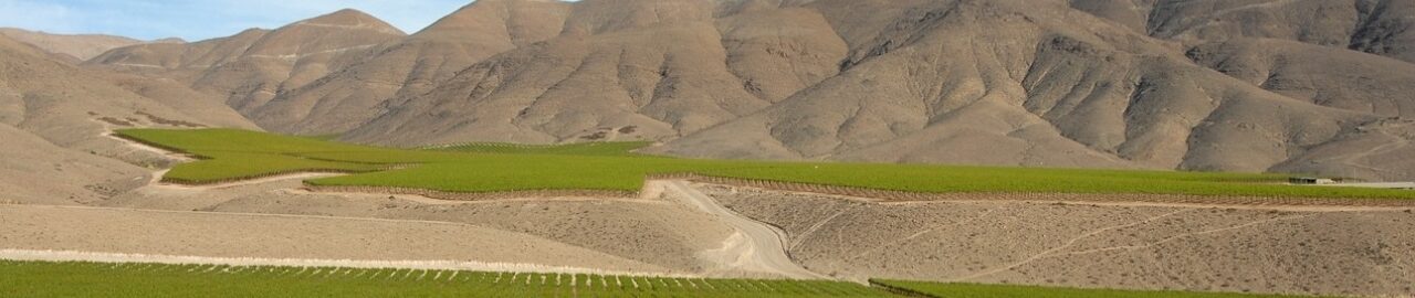 Colchagua Alto