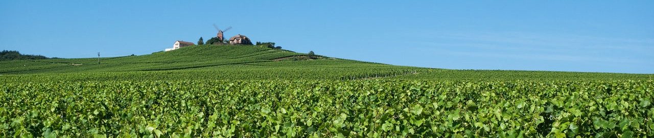 Beaujolais